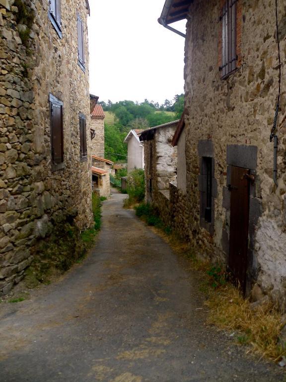 Le Panorama - Chambres D'Hotes - Cuisine Disponible Vieille-Brioude エクステリア 写真